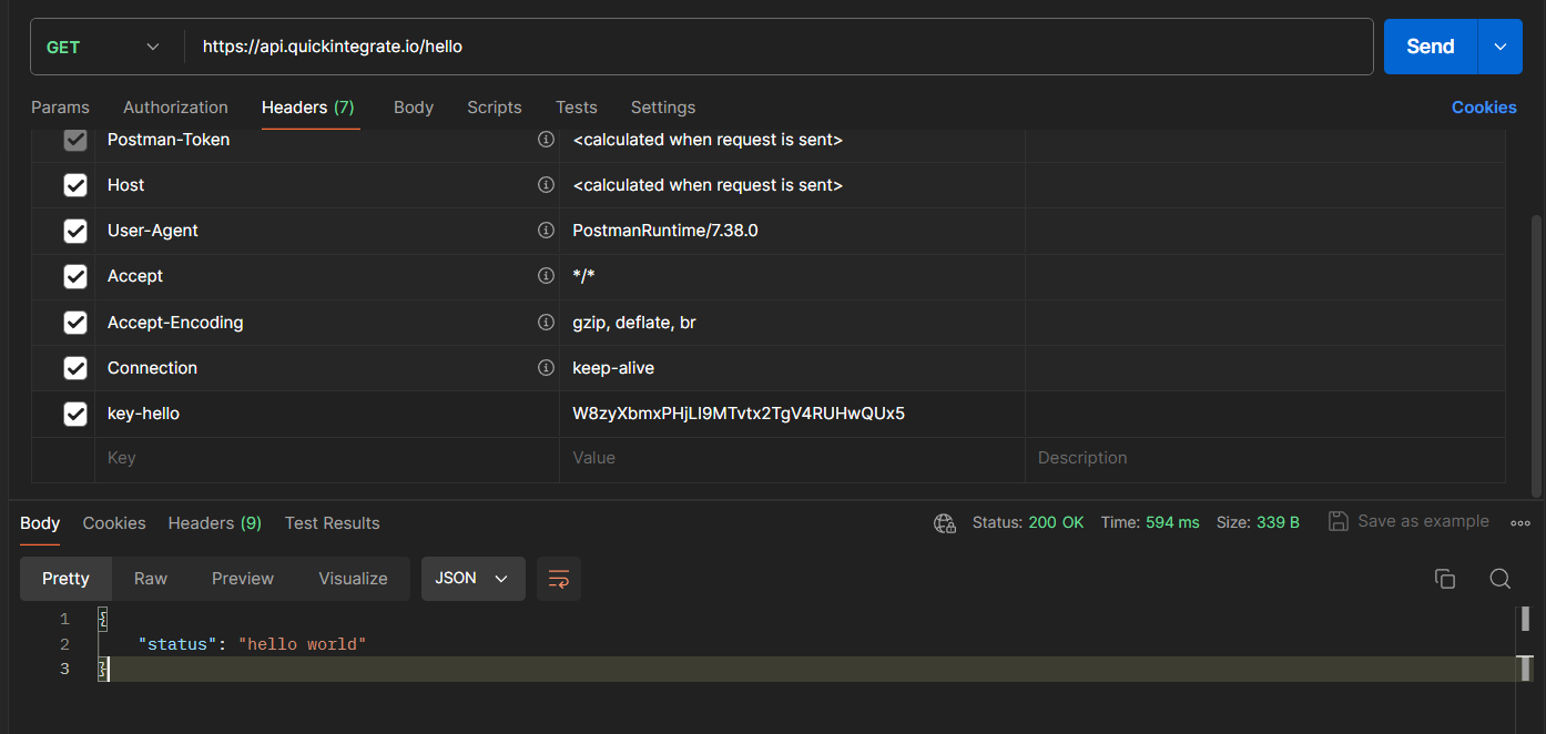 REST call with api-key